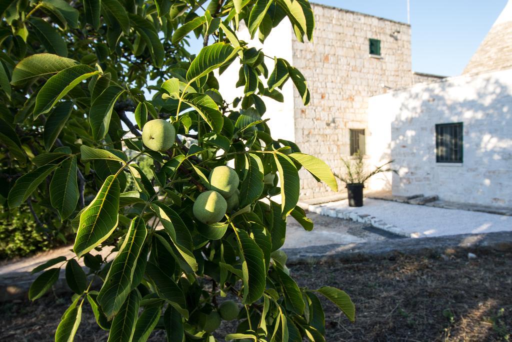 Maison Milleottocento Cisternino Exteriör bild